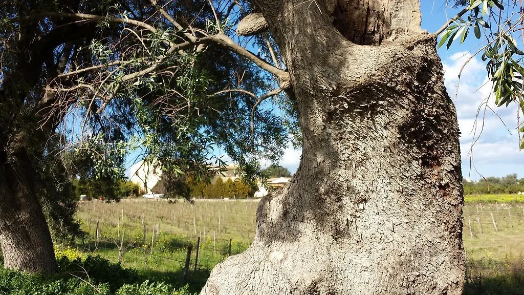Feriegård Case Del Feudo Di Pietro Beneventano Villa Syracuse Italien